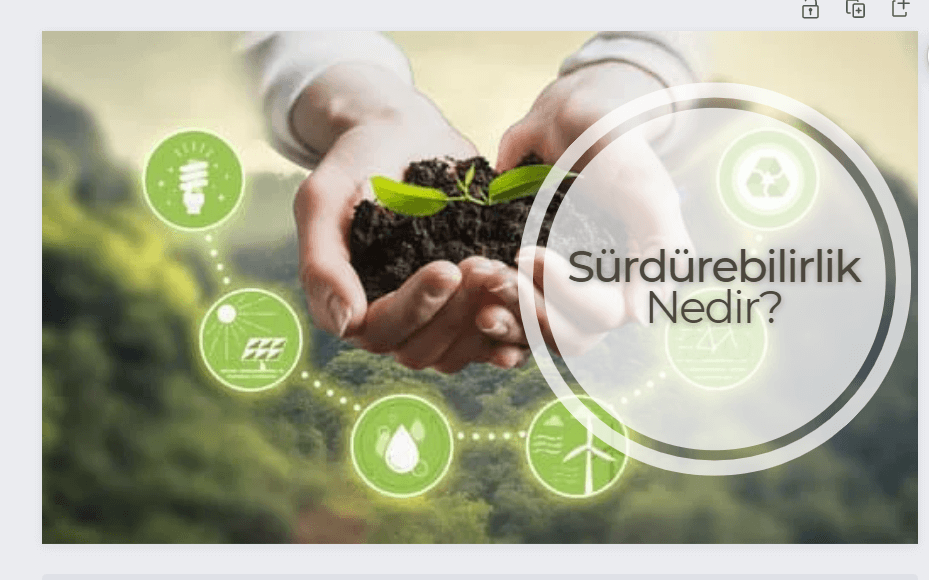 Sürdürülebilirlik  Nedir?